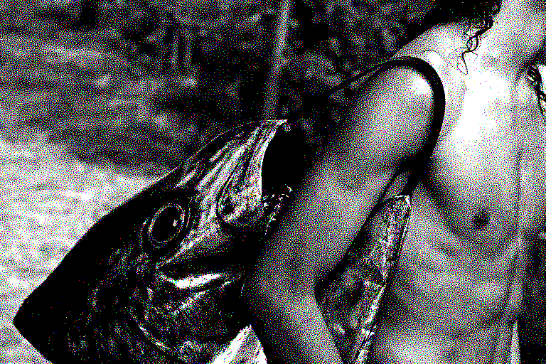 A semi-side-profile of a shirtless male with a bag resembling the head of a fish slinged over his shoulder.
